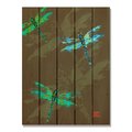 Ricki&Aposs Rugs 28 x 36 in. Crousers Neon Dragonflies Inside & Outside Cedar Wall Art RI890971